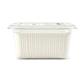 Regular Plain Yoghurt